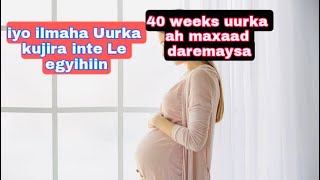 40 weeks uurka ah maxaad daremaysa iyo ilmaha Uurka kujira waa meqo kilo [upl. by Maddy]