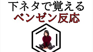 【有機化学】下ネタで覚える！ベンゼンの反応（ニトロ化・スルホン化） [upl. by Mart]