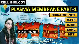 PLASMA MEMBRANE PART1  CELL BIOLOGY  CSIR NET GATE DBT [upl. by Divad]