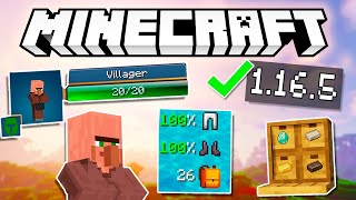 10 USEFUL MODS for MINECRAFT 1165 great value mods [upl. by Vitek]