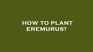 How to plant eremurus [upl. by Nylirad]