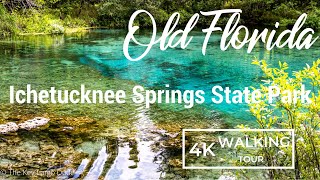 🌳 Exploring Ichetucknee Springs State Park Natural Wonders of Florida 2023  4K [upl. by Ardisj88]