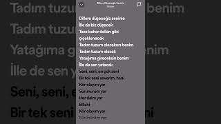 GÜLŞEN ‘DİLLERE DÜŞECEĞİZ SENİNLE’ ŞARKI SÖZLERİ ✨gülşen türkçe şarkı şarkısözleri lyrics song [upl. by Sigmund873]