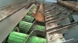 Springer Screw Conveyor System at SCA Tunadal Logsorting [upl. by Ahsel100]