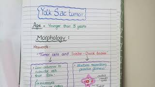 SEMINOMA and NONSEMINOMAS  Testicular Cancers Pathology [upl. by Zetrauq784]