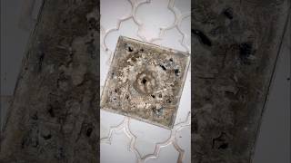 Crazy Shower Drain Clog Watch This Satisfying CleanUp [upl. by Titos]