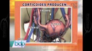 PROCREAR ¿La artritis afecta la fertilidad [upl. by Nosnirb]