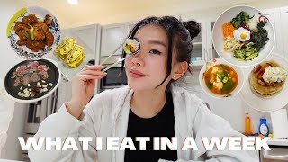 what i eat in a week │ simple KOREAN recipes [upl. by Ivers]