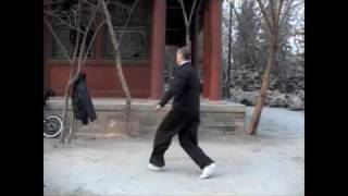 BaguaZhang Liang style [upl. by Mindi]