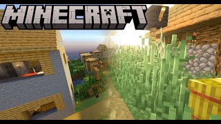 Minecraft Bedrock RTX vs Minecraft Java SEUS PTGI Shaders [upl. by Alleynad425]