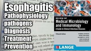 Esophagitis in Urdu ampHindi Gastrointestinal tract Infection [upl. by Aranahs982]