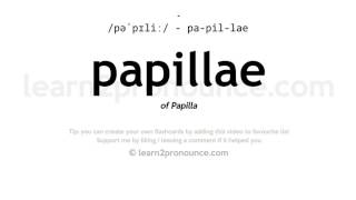 Pronunciation of Papillae  Definition of Papillae [upl. by Enial]