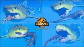 MEGALODON HUNTING ANIMATIONS VS ALL MARINE REPTILES  JURASSIC WORLD EVOLUTION 2 [upl. by Ynnavoig]