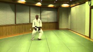 合気道 運足Tomiki Aikido Unsoku [upl. by Assylem]