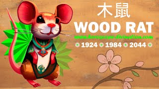 WOOD RAT PERSONALITY  木鼠  Chinese Astrology  Love Facts Strength Weaknesses of Rat Sign [upl. by Eelaras]