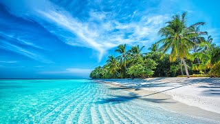 Beautiful Relaxing Music  Stop Overthinking Mind Calm Serene Seascapes for Ultimate Relaxation [upl. by Yllen]