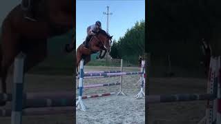 Beautiful jump ❤️‍🔥😍🤎 equestrian showjumpers horseriding jumping [upl. by Callean300]