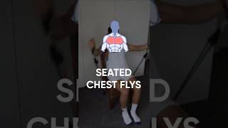 Seated Chest Flys Resistance Bands Workout [upl. by Liatrice]