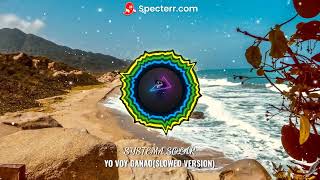 ☀☀🌊SYSTEMA SOLARYO VOY GANAOSLOWED  REVERB EDITION☀☀🌊 [upl. by Kappel11]