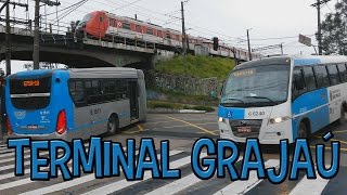 Terminal Grajaú  Movimentação de Ônibus 49 [upl. by Anayhd]