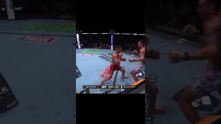 Illia Topuria knocks out Max Holloway [upl. by Hairej954]