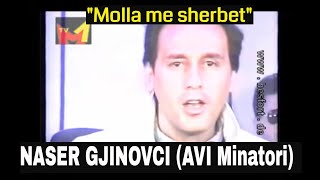 AVI Minatori amp Naser Gjinovci  Molla me sherbet [upl. by Llerrod751]