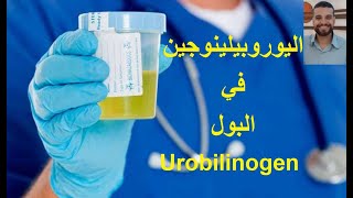 اليوروبيلينوجين في البول Urobilinogen in urine [upl. by Anaidni]