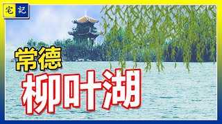 张家界  Day 1 柳叶湖 [upl. by Aliuqaj]