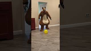 A fat shaggy dog brings balloons to the little doggie [upl. by Ahsatan]