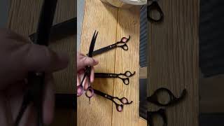 80 inches Professional Dog Grooming Scissors Set Straight amp thinning amp Curved amp chunkers 4pcs [upl. by Attiuqal856]