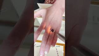 Alexandrite Gemstones gemstonejewelry gemstonerings alexandrite [upl. by Nhar]