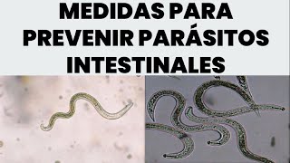 Guía de Prevención Medidas Efectivas contra Parásitos Intestinales [upl. by Otrebcire218]