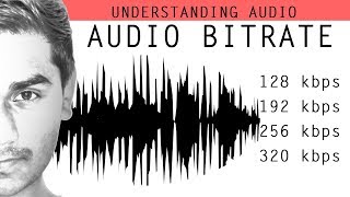 How does the audio bitrate effect the audio quality   Understanding Audio [upl. by Irb]