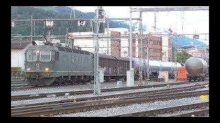 SBB Re 66 quot11663 Eglisauquot mit WLV Zug in Thun 290811 [upl. by Perlis]