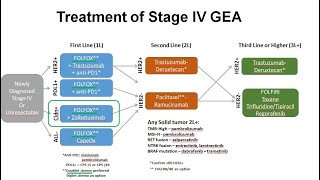 34 First Line Therapy for HER2 PDL1 CLDN182 GEA [upl. by Darmit]
