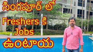 Jobs for Freshers in Singapore singaporesrinivas [upl. by Gersham]