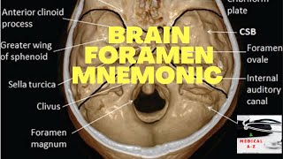 Brain Foramen Mnemonics  Brain Foramen Short Tricks  Medical Mnemonics By Medical A  Z  2020 [upl. by Dagley]