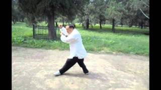 Liang BaGua 64 Palms Demo in Beijing [upl. by Aileve]