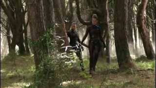 Legend Of The Seeker  Fight Scenes [upl. by Ahsap]