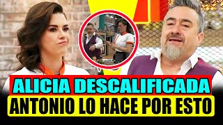 ALICIA MACHADO DESCALIFICADA POR CHEF ANTONIO 😮 AVANCE DEL MIERCOLES  TOP CHEF VIP 2024 EN VIVO [upl. by Ennoryt]