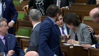 Liberal MP collapses during House of Commons debate [upl. by Einnos736]