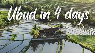 How to Spend 4 Days In UBUD Bali Indonesia  20 Things to Do in UBUD Bali  UBUD Bali Travel Guide [upl. by Eicak]