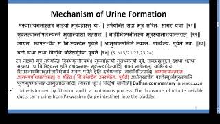 Physiology of Urine formation in Ayurveda [upl. by Marriott]