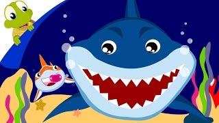 Baby Shark Song  Animal Songs with lyrics [upl. by Clifford]