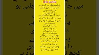 urdu pashto words meaning [upl. by Richarda]