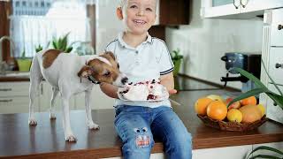 Expert Reveals Fresh Fruit Secrets for Happy Dogs [upl. by Matthew]