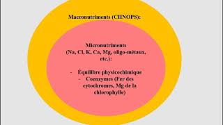 L1SA  Cours de Microbiologie Générale  Partie 2  Bactériologie suite 2 [upl. by Brandais]