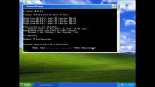 Howto Ping IP Address and Check DNS Settings  StepbyStep Guide computerbasics cmd [upl. by Beatriz57]