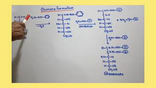 Osazone of DGlucose and DFructose [upl. by Melburn]