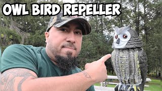 Owl Solar Bird Repellent Review [upl. by Ellegna963]